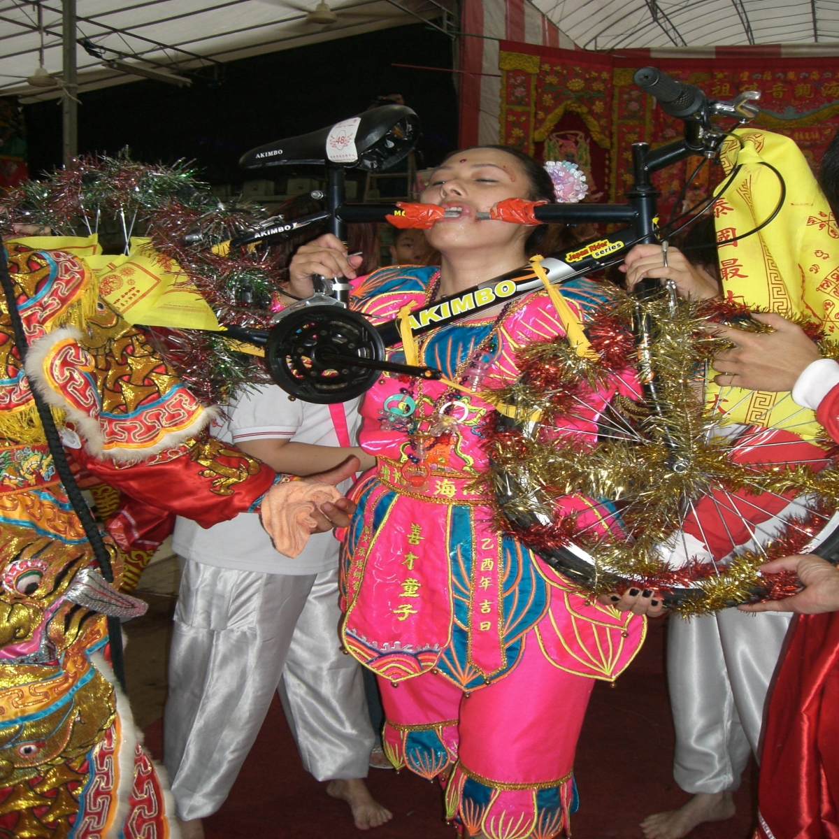 Figure 4 A female tangki in Singapore with a bicycle pierced through her cheek..jpg